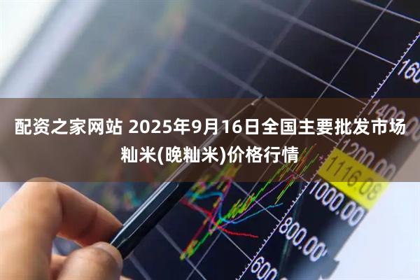 配资之家网站 2025年9月16日全国主要批发市场籼米(晚籼米)价格行情